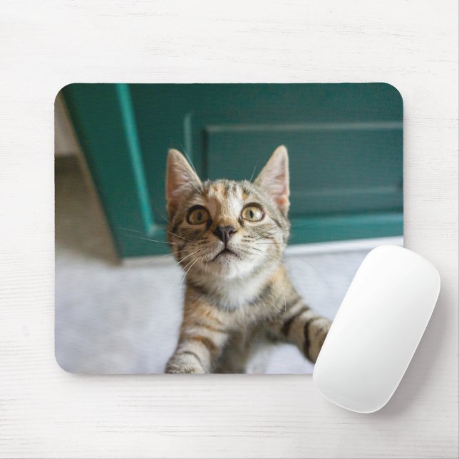 Niedliche Kleintiere | Niedlich Tabby Kitten Mousepad (Mit Mouse)