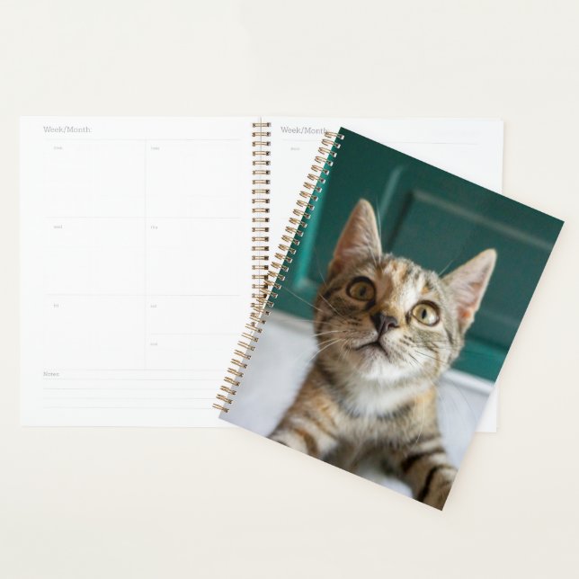 Niedliche Kleintiere | Niedlich Tabby Kitten Planer (Anzeige)