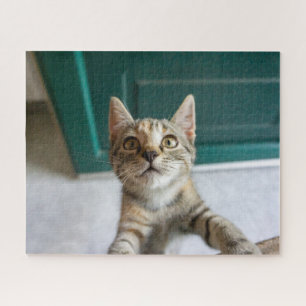 Niedliche Kleintiere Niedlich Tabby Kitten Puzzle