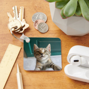 Niedliche Kleintiere Niedlich Tabby Kitten Schlüsselanhänger