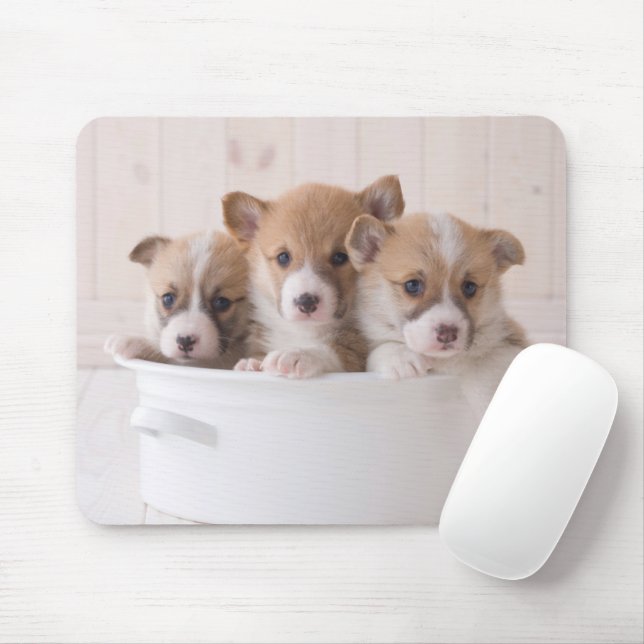 Niedliche Kleintiere | Niedliche Corgi Welpen in e Mousepad (Mit Mouse)