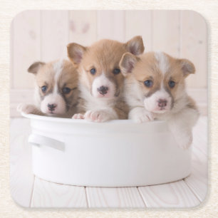 Niedliche Kleintiere Niedliche Corgi Welpen in e Rechteckiger Pappuntersetzer
