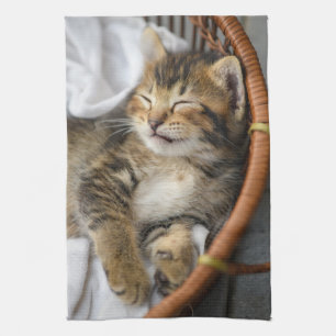Niedliche Kleintiere   Niedlicher Tabby Cat Sleepi Geschirrtuch