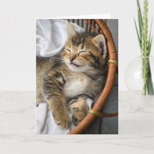 Niedliche Kleintiere   Niedlicher Tabby Cat Sleepi Karte