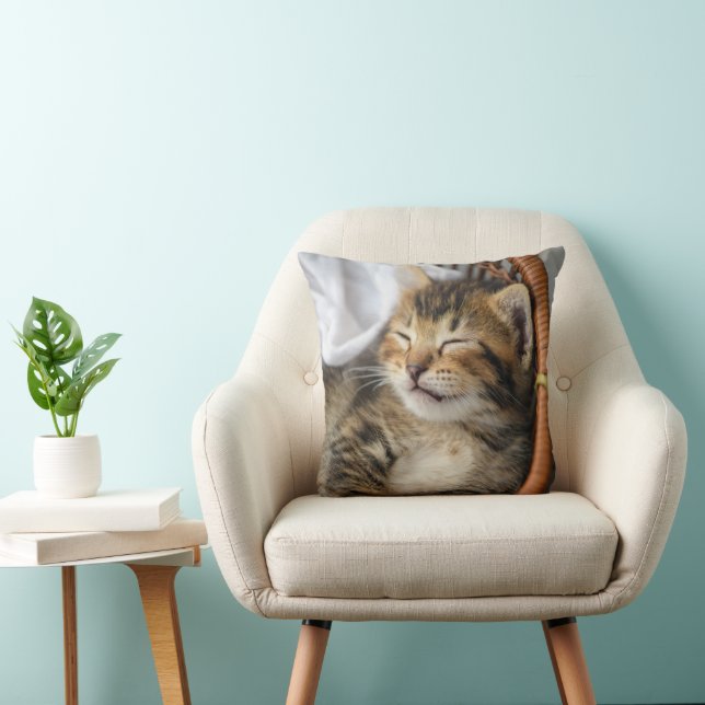 Niedliche Kleintiere | Niedlicher Tabby Cat Sleepi Kissen (Stuhl )