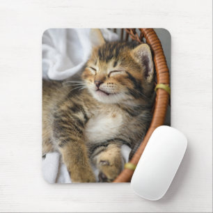 Niedliche Kleintiere   Niedlicher Tabby Cat Sleepi Mousepad