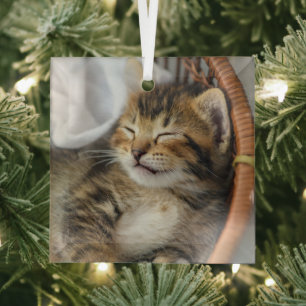 Niedliche Kleintiere   Niedlicher Tabby Cat Sleepi Ornament Aus Glas