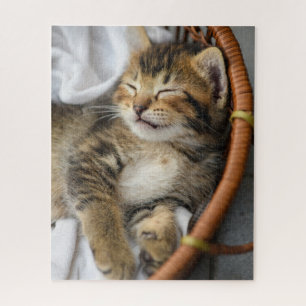 Niedliche Kleintiere   Niedlicher Tabby Cat Sleepi Puzzle