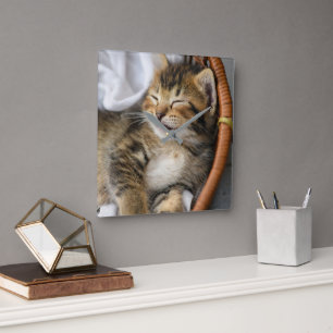 Niedliche Kleintiere   Niedlicher Tabby Cat Sleepi Quadratische Wanduhr