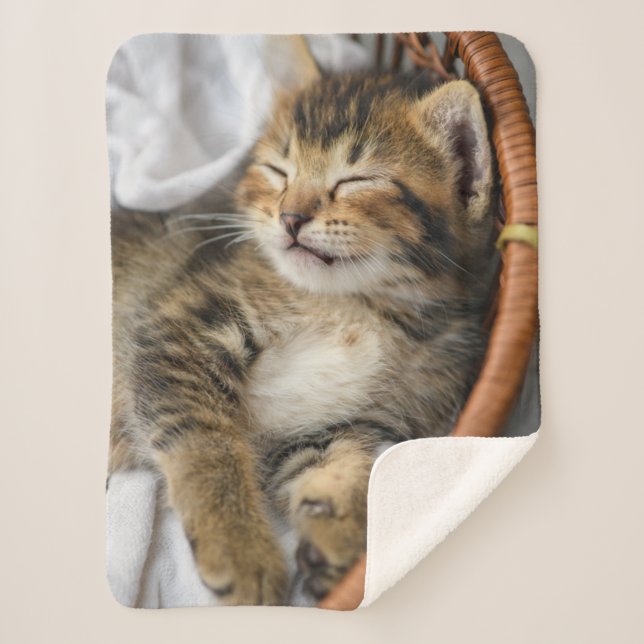 Niedliche Kleintiere | Niedlicher Tabby Cat Sleepi Sherpadecke (Vorderseite)