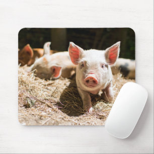 Niedliche Kleintiere   Niedliches Baby Mousepad