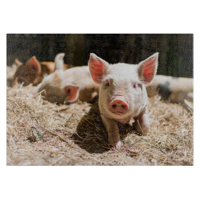 Niedliche Kleintiere | Niedliches Baby Schneidebrett (Vorderseite)