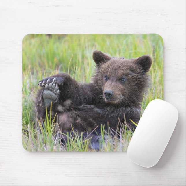 Niedliche Kleintiere | Niedliches Braunbären - Kür Mousepad (Mit Mouse)