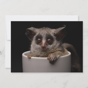 Niedliche Kleintiere Niedliches Bushbaby Dankeskarte