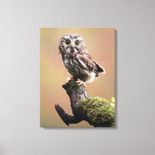 Niedliche Kleintiere   Nördliches Sägemehl Leinwanddruck