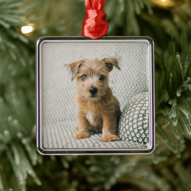 Niedliche Kleintiere | Norfolk Terrier Puppy Ornament Aus Metall (Baum)
