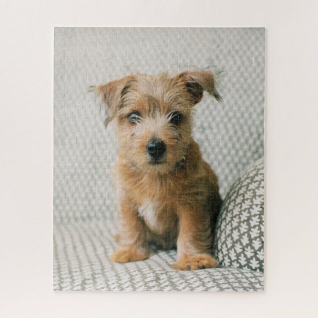 Niedliche Kleintiere | Norfolk Terrier Puppy Puzzle (Vertikal)