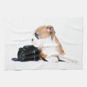 Niedliche Kleintiere   Old Tyme British Bulldog Geschirrtuch