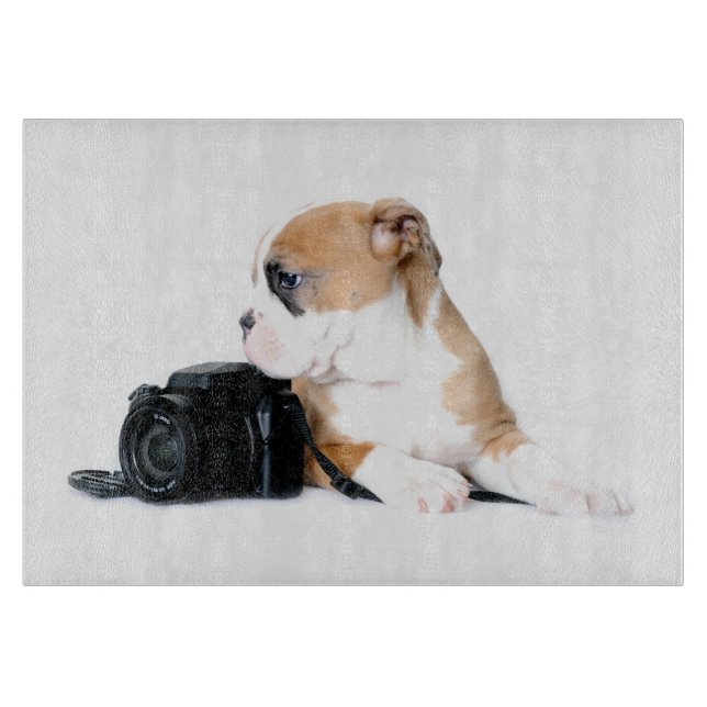 Niedliche Kleintiere | Old Tyme British Bulldog Schneidebrett (Vorderseite)