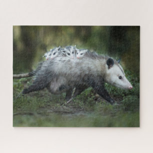 Niedliche Kleintiere   Opossum-Mama und Kinder Puzzle