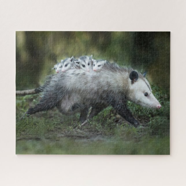 Niedliche Kleintiere | Opossum-Mama und Kinder Puzzle (Horizontal)