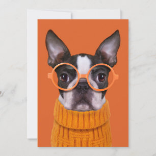 Niedliche Kleintiere   Orange Boston Terrier Dankeskarte
