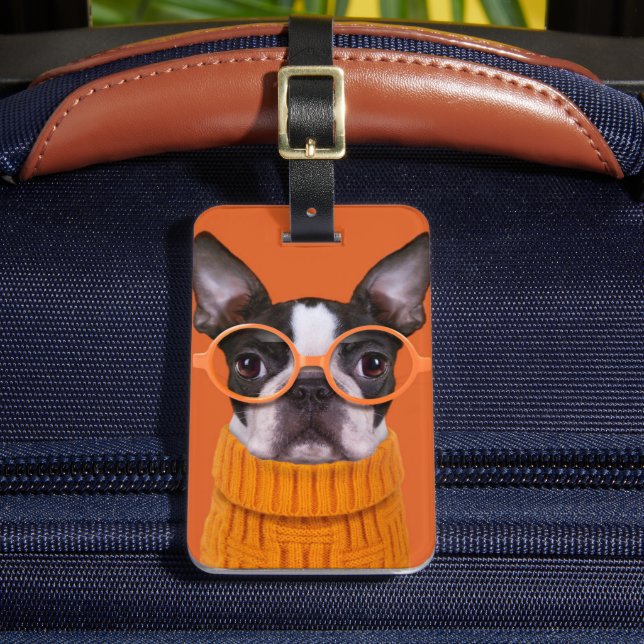 Niedliche Kleintiere | Orange Boston Terrier Gepäckanhänger (Vorderseite Insitu 2)