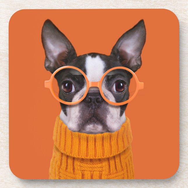 Niedliche Kleintiere | Orange Boston Terrier Getränkeuntersetzer (Vorderseite)