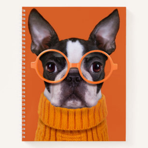 Niedliche Kleintiere   Orange Boston Terrier Notizbuch
