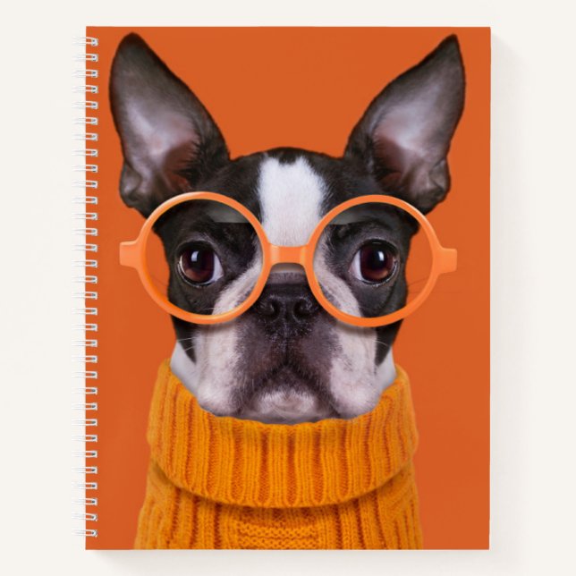 Niedliche Kleintiere | Orange Boston Terrier Notizbuch (Vorderseite)