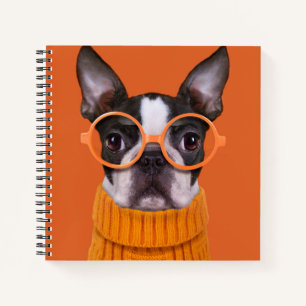 Niedliche Kleintiere   Orange Boston Terrier Notizbuch