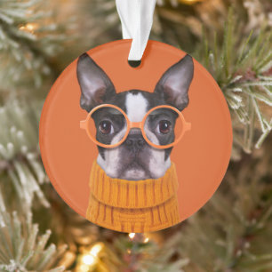 Niedliche Kleintiere   Orange Boston Terrier Ornament