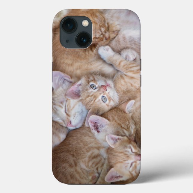 Niedliche Kleintiere | Orange Kitten Pile Case-Mate iPhone Hülle (Rückseite)