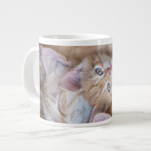 Niedliche Kleintiere   Orange Kitten Pile Jumbo-Tasse