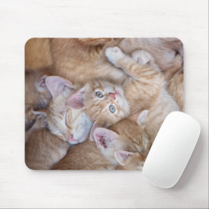 Niedliche Kleintiere Orange Kitten Pile Mousepad