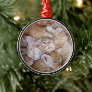 Niedliche Kleintiere   Orange Kitten Pile Ornament Aus Metall