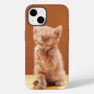 Niedliche Kleintiere   Orange Tabby Kitten Case-Mate iPhone 14 Hülle