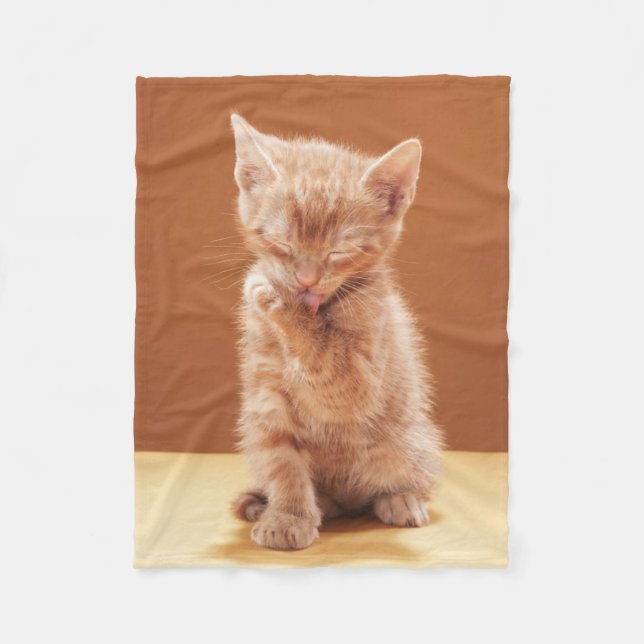 Niedliche Kleintiere | Orange Tabby Kitten Fleecedecke (Vorderseite)