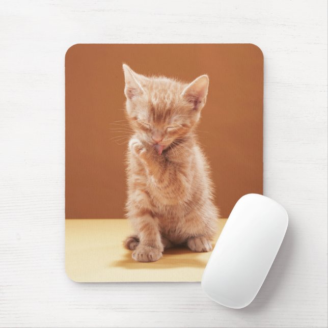 Niedliche Kleintiere | Orange Tabby Kitten Mousepad (Mit Mouse)