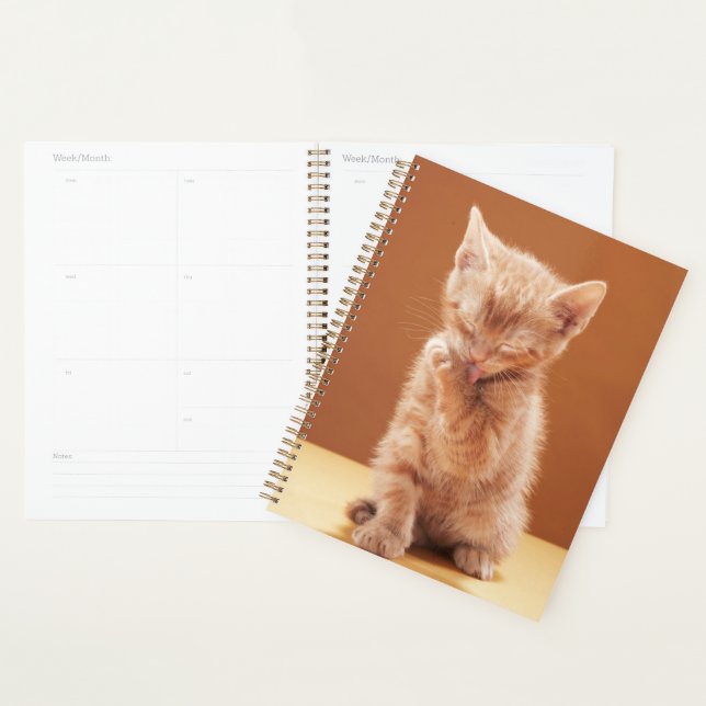 Niedliche Kleintiere | Orange Tabby Kitten Planer (Anzeige)