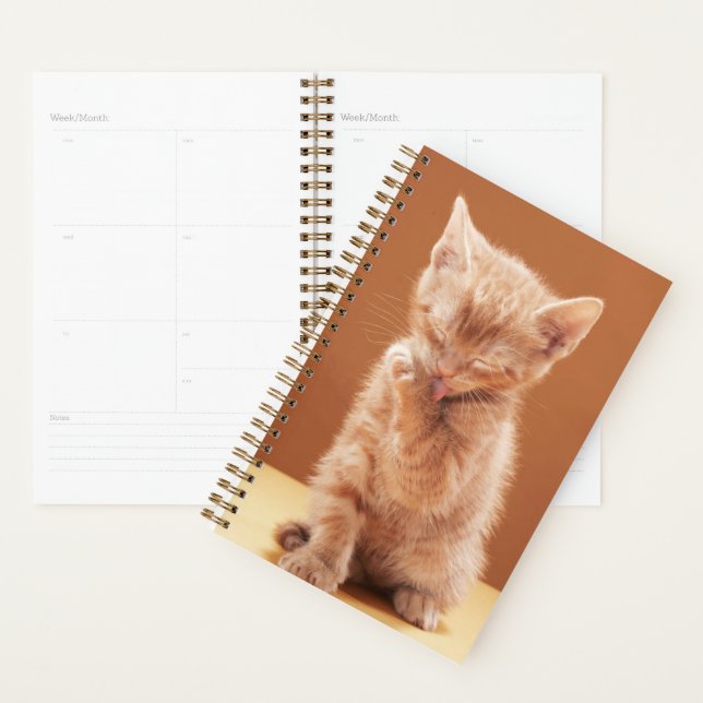 Niedliche Kleintiere | Orange Tabby Kitten Planer (Anzeige)