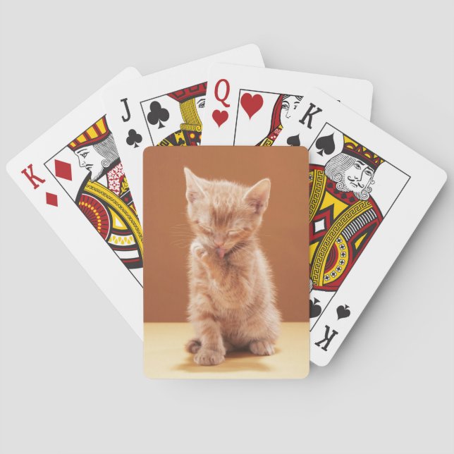 Niedliche Kleintiere | Orange Tabby Kitten Spielkarten (Rückseite)