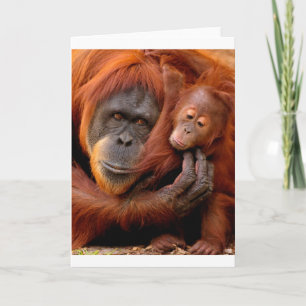 Niedliche Kleintiere   Orangutan Mama & Baby Karte
