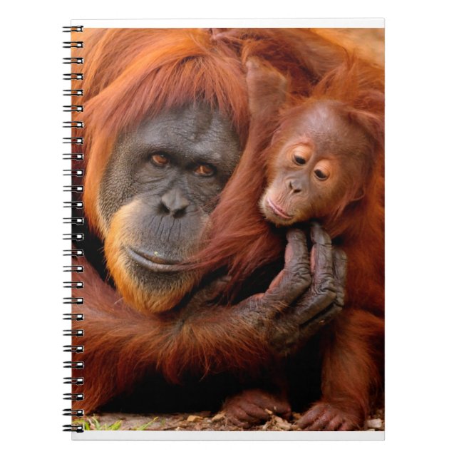 Niedliche Kleintiere | Orangutan Mama & Baby Notizblock (Vorderseite)