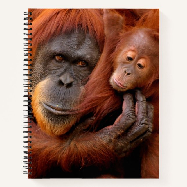 Niedliche Kleintiere | Orangutan Mama & Baby Notizbuch (Vorderseite)