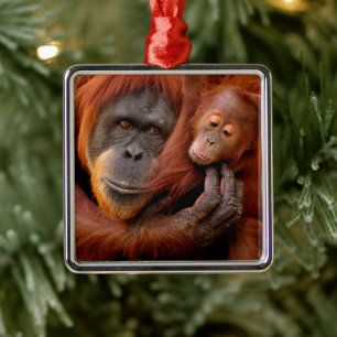Niedliche Kleintiere Orangutan Mama & Baby Ornament Aus Metall