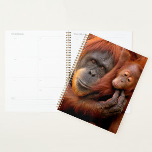 Niedliche Kleintiere Orangutan Mama & Baby Planer