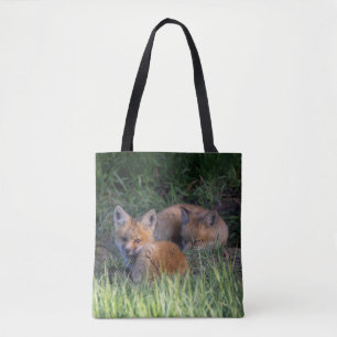 Niedliche Kleintiere Paar von Red Fox Kit Geschw