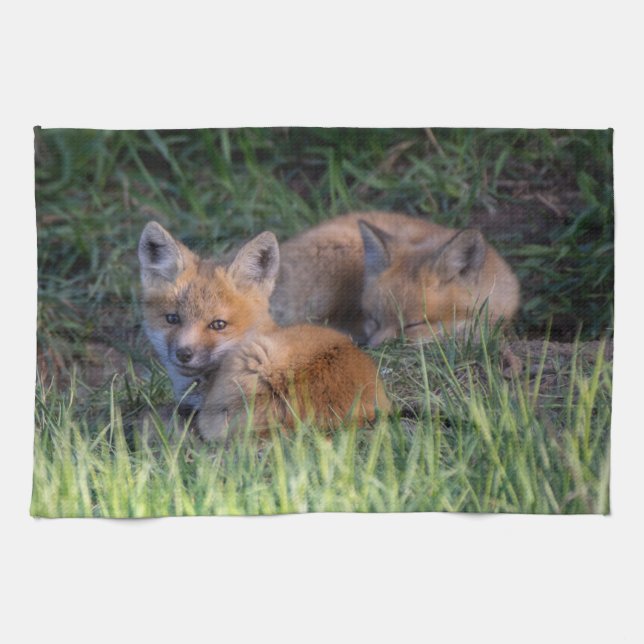 Niedliche Kleintiere | Paar von Red Fox Kit Geschw Geschirrtuch (Horizontal)