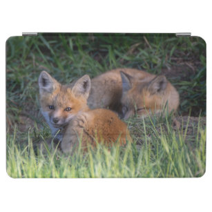 Niedliche Kleintiere   Paar von Red Fox Kit Geschw iPad Air Hülle